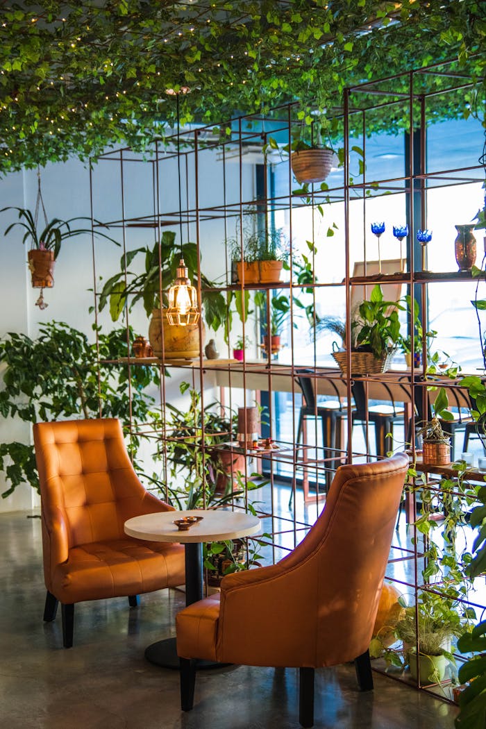 services-04 Inviting café corner with lush plants and cozy seating, perfect for relaxation.